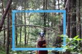 Promenons nous dans les bois 110 * 5616 x 3744 * (10.56MB)